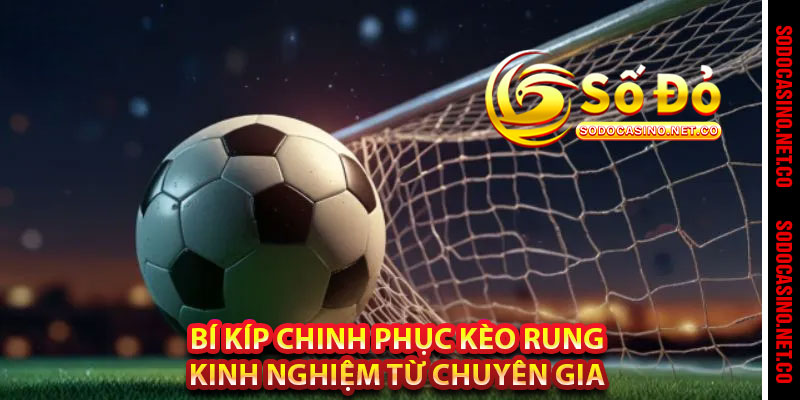 Bí Kíp Chinh Phục Kèo Rung Kinh Nghiệm Từ Chuyên Gia 
