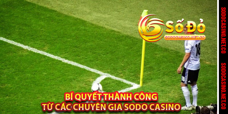 Bí Quyết Thành Công Từ Các Chuyên Gia Sodo casino 