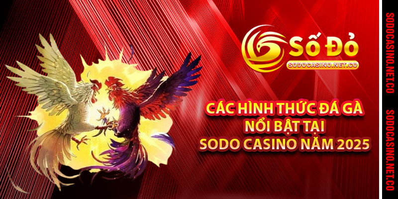 Các hình thức Đá Gà nổi bật tại Sodo casino năm 2025 