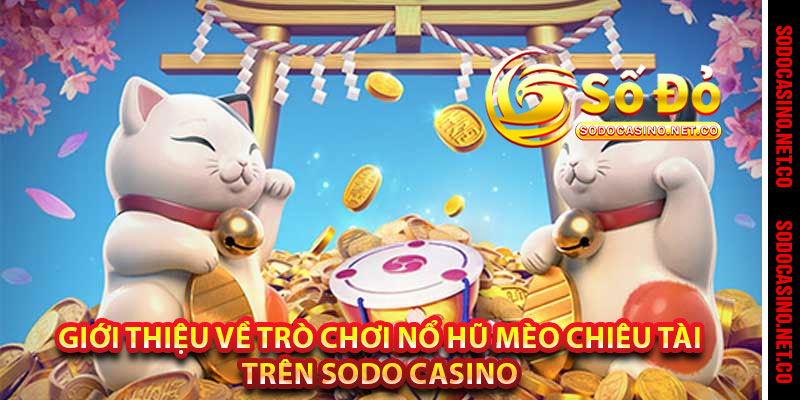 Giới Thiệu Về Trò Chơi Nổ Hũ Mèo Chiêu Tài Trên Sodo casino 