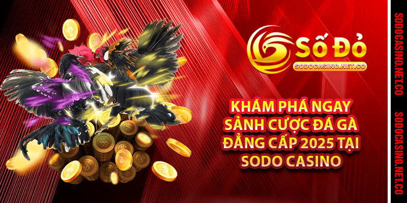 Khám phá ngay sảnh cược Đá gà đẳng cấp 2025 tại Sodo casino 