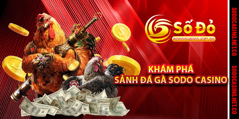 Khám phá sảnh Đá Gà Sodo casino 