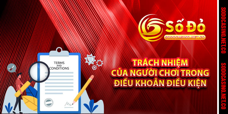Trách Nhiệm Của Người Chơi Trong Điều Khoản Điều Kiện 