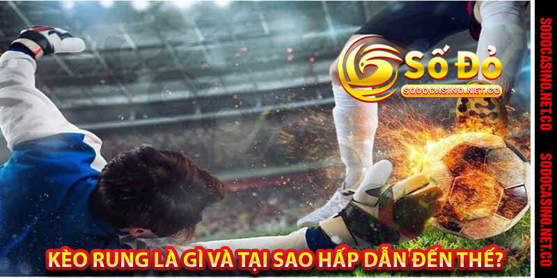 Kèo Rung Là Gì Và Tại Sao Hấp dẫn Đến Thế? 